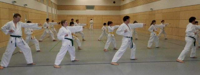 Taekwondo Training